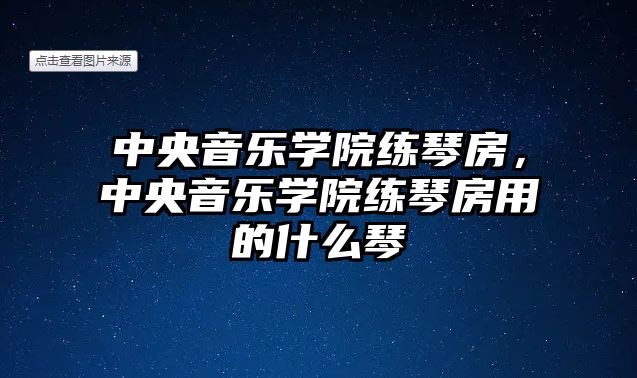 中央音樂學院練琴房，中央音樂學院練琴房用的什么琴