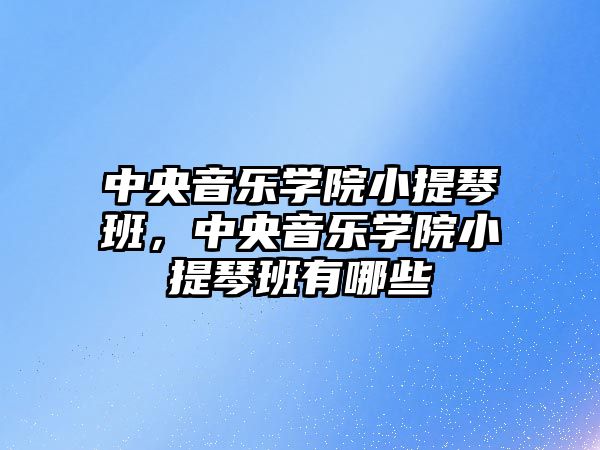 中央音樂學院小提琴班，中央音樂學院小提琴班有哪些