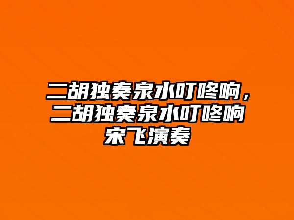 二胡獨奏泉水叮咚響，二胡獨奏泉水叮咚響宋飛演奏