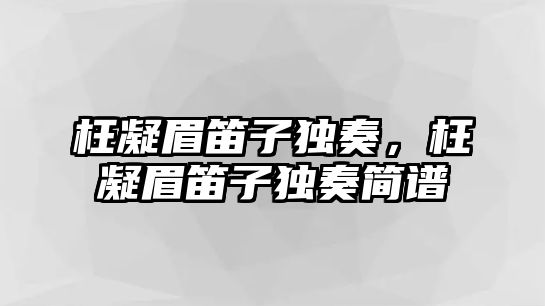 枉凝眉笛子獨奏，枉凝眉笛子獨奏簡譜