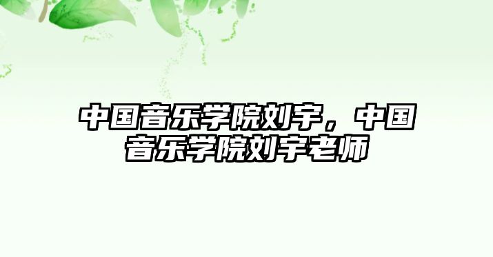 中國音樂學院劉宇，中國音樂學院劉宇老師