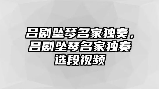 呂劇墜琴名家獨奏，呂劇墜琴名家獨奏選段視頻