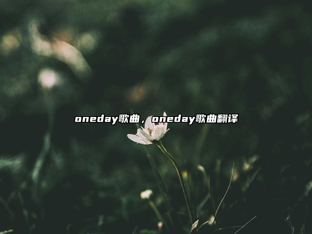 oneday歌曲，oneday歌曲翻譯