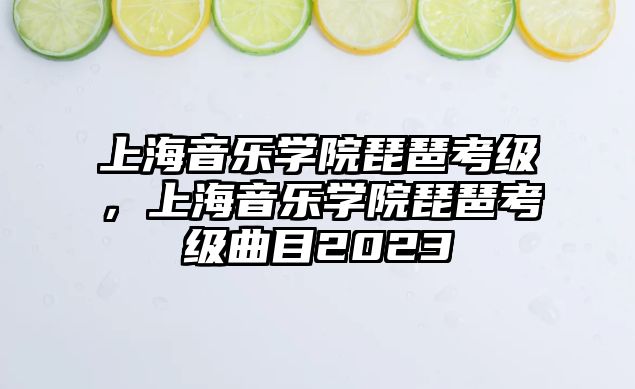 上海音樂學院琵琶考級，上海音樂學院琵琶考級曲目2023