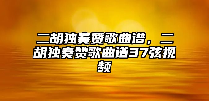 二胡獨奏贊歌曲譜，二胡獨奏贊歌曲譜37弦視頻