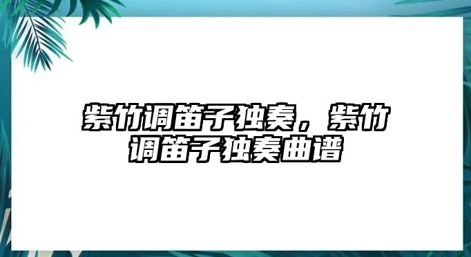 紫竹調笛子獨奏，紫竹調笛子獨奏曲譜