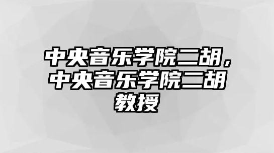 中央音樂學院二胡，中央音樂學院二胡教授