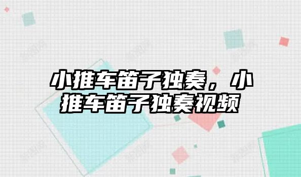 小推車笛子獨奏，小推車笛子獨奏視頻