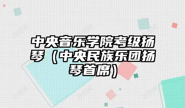 中央音樂學院考級揚琴（中央民族樂團揚琴首席）