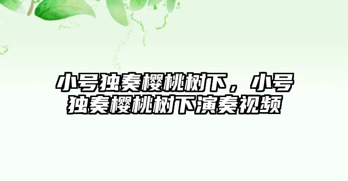 小號獨奏櫻桃樹下，小號獨奏櫻桃樹下演奏視頻