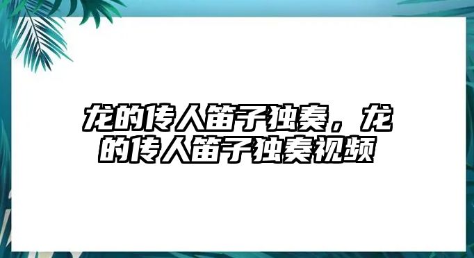 龍的傳人笛子獨奏，龍的傳人笛子獨奏視頻