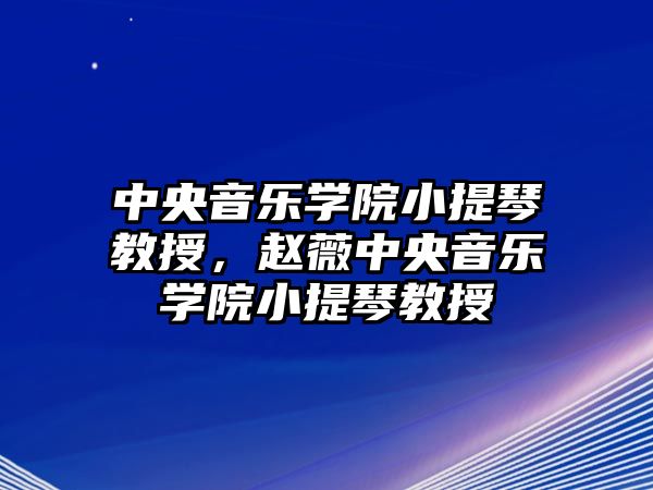 中央音樂學院小提琴教授，趙薇中央音樂學院小提琴教授