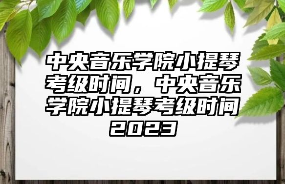 中央音樂學院小提琴考級時間，中央音樂學院小提琴考級時間2023