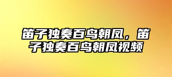 笛子獨奏百鳥朝鳳，笛子獨奏百鳥朝鳳視頻