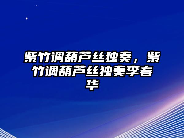 紫竹調葫蘆絲獨奏，紫竹調葫蘆絲獨奏李春華