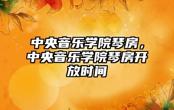 中央音樂學院琴房，中央音樂學院琴房開放時間