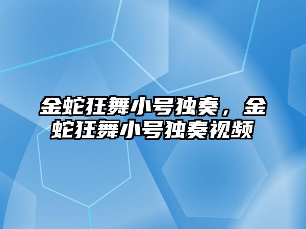 金蛇狂舞小號獨奏，金蛇狂舞小號獨奏視頻