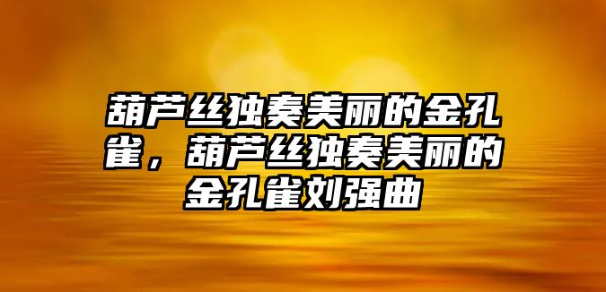 葫蘆絲獨奏美麗的金孔雀，葫蘆絲獨奏美麗的金孔雀劉強曲