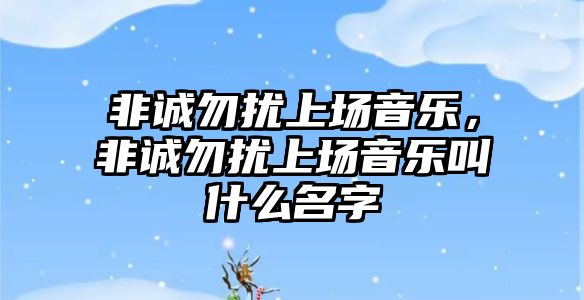 非誠勿擾上場音樂，非誠勿擾上場音樂叫什么名字