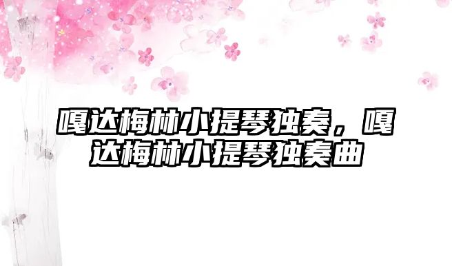 嘎達梅林小提琴獨奏，嘎達梅林小提琴獨奏曲