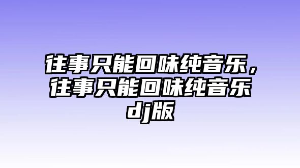 往事只能回味純音樂，往事只能回味純音樂dj版