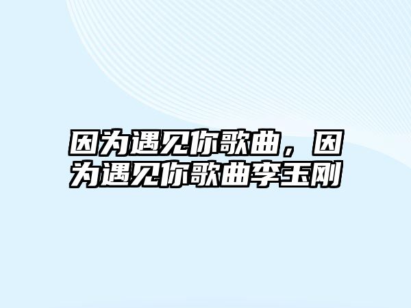 因為遇見你歌曲，因為遇見你歌曲李玉剛