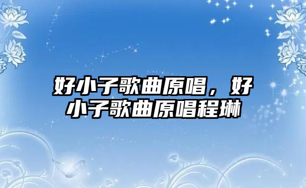 好小子歌曲原唱，好小子歌曲原唱程琳