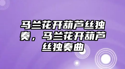 馬蘭花開葫蘆絲獨奏，馬蘭花開葫蘆絲獨奏曲