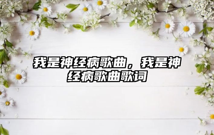 我是神經病歌曲，我是神經病歌曲歌詞