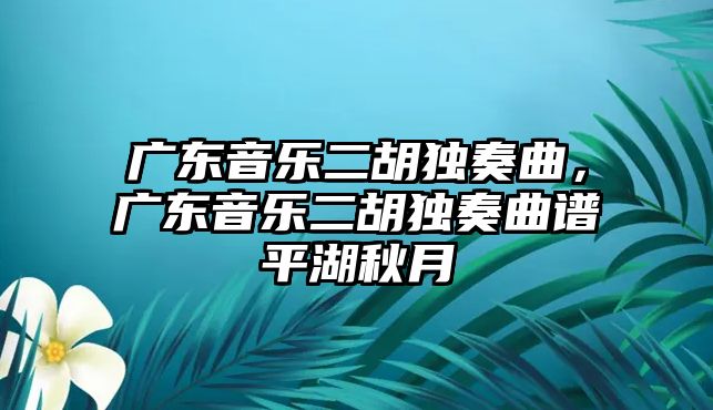 廣東音樂二胡獨奏曲，廣東音樂二胡獨奏曲譜平湖秋月