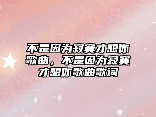 不是因為寂寞才想你歌曲，不是因為寂寞才想你歌曲歌詞