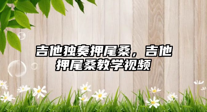 吉他獨奏押尾桑，吉他押尾桑教學視頻