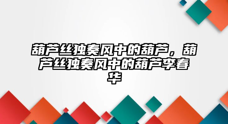 葫蘆絲獨奏風中的葫蘆，葫蘆絲獨奏風中的葫蘆李春華