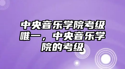 中央音樂學院考級唯一，中央音樂學院的考級