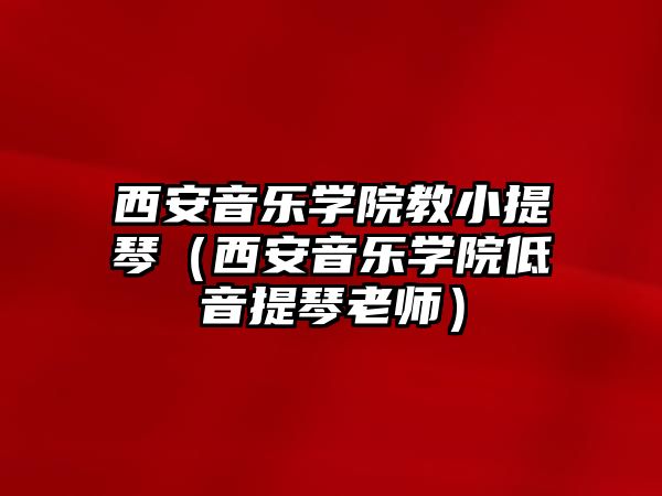 西安音樂學院教小提琴（西安音樂學院低音提琴老師）