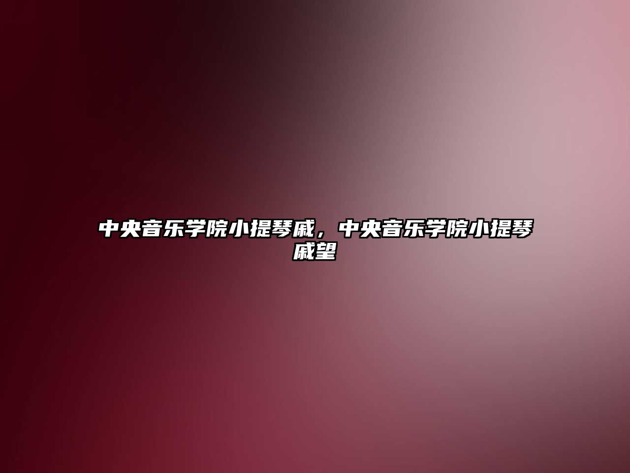 中央音樂學院小提琴戚，中央音樂學院小提琴戚望