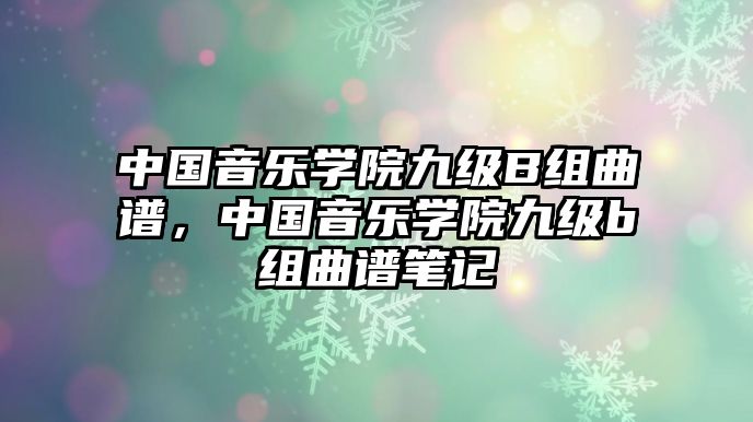 中國音樂學院九級B組曲譜，中國音樂學院九級b組曲譜筆記