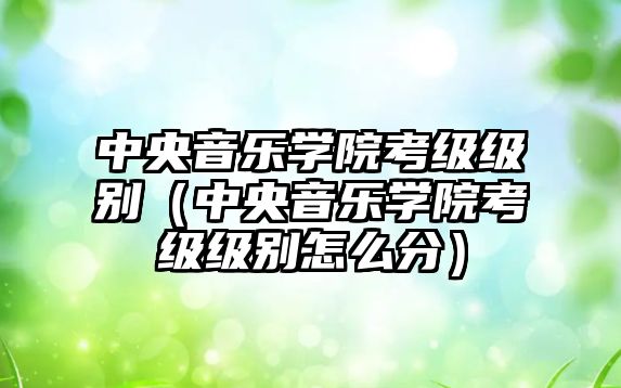 中央音樂學院考級級別（中央音樂學院考級級別怎么分）