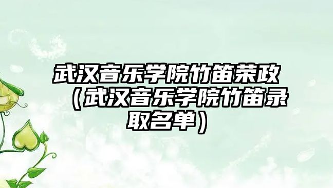 武漢音樂(lè)學(xué)院竹笛榮政（武漢音樂(lè)學(xué)院竹笛錄取名單）