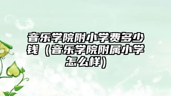 音樂學院附小學費多少錢（音樂學院附屬小學怎么樣）