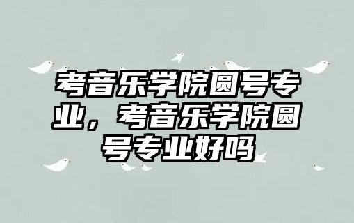 考音樂學院圓號專業，考音樂學院圓號專業好嗎