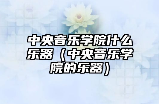 中央音樂學院什么樂器（中央音樂學院的樂器）