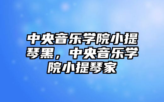 中央音樂學院小提琴黑，中央音樂學院小提琴家