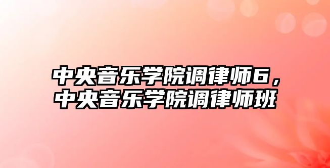 中央音樂學院調律師6，中央音樂學院調律師班