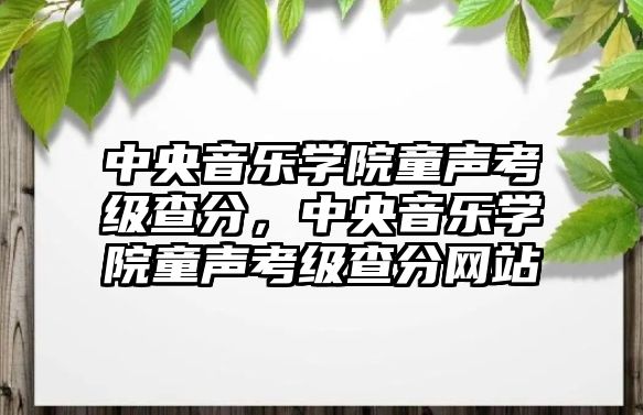 中央音樂學(xué)院童聲考級(jí)查分，中央音樂學(xué)院童聲考級(jí)查分網(wǎng)站