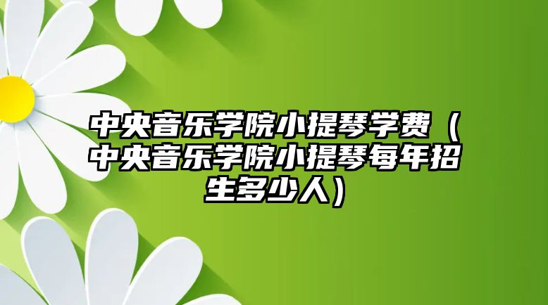 中央音樂學院小提琴學費（中央音樂學院小提琴每年招生多少人）