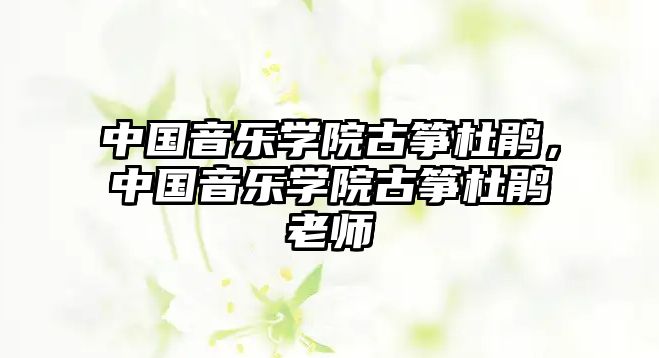 中國音樂學(xué)院古箏杜鵑，中國音樂學(xué)院古箏杜鵑老師