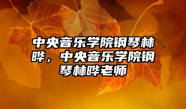 中央音樂學(xué)院鋼琴林曄，中央音樂學(xué)院鋼琴林曄老師