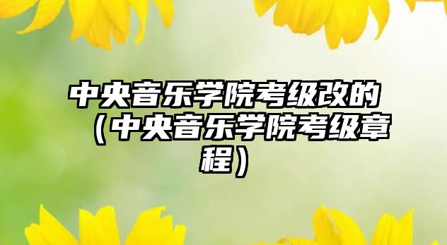 中央音樂學(xué)院考級改的（中央音樂學(xué)院考級章程）