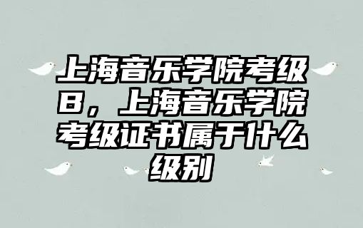 上海音樂學院考級B，上海音樂學院考級證書屬于什么級別